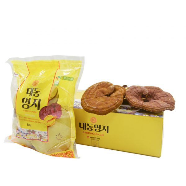 Nấm Linh Chi Nguyên Chiếc 